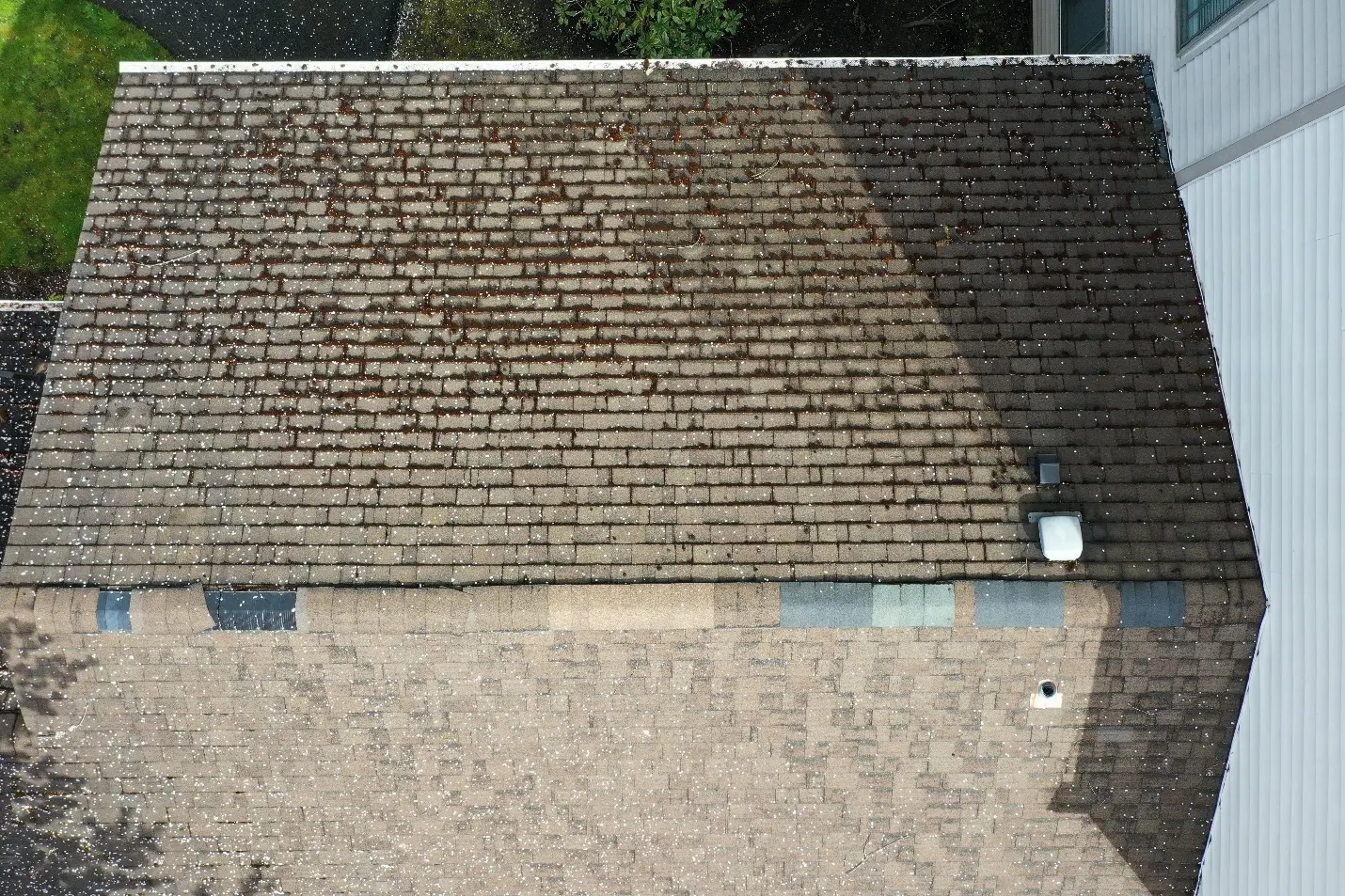 Documented roof condition from a Leeway property assessment
